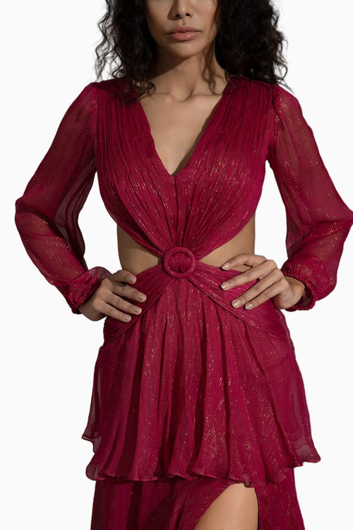 Wine In The Wild Dress