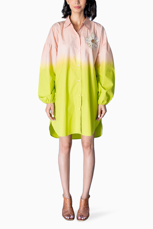 Shaded Salmon Pink Clint Dress