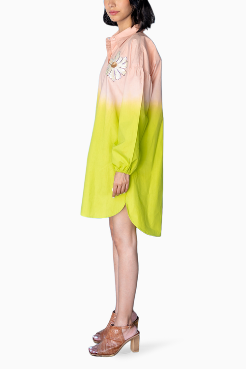 Shaded Salmon Pink Clint Dress