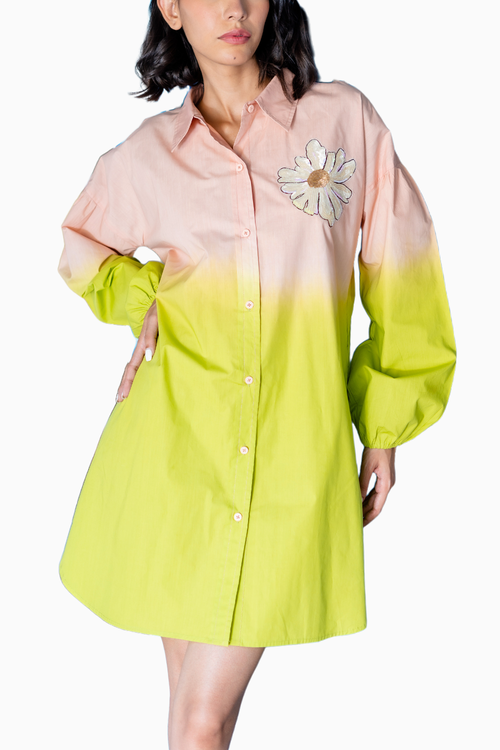 Shaded Salmon Pink Clint Dress