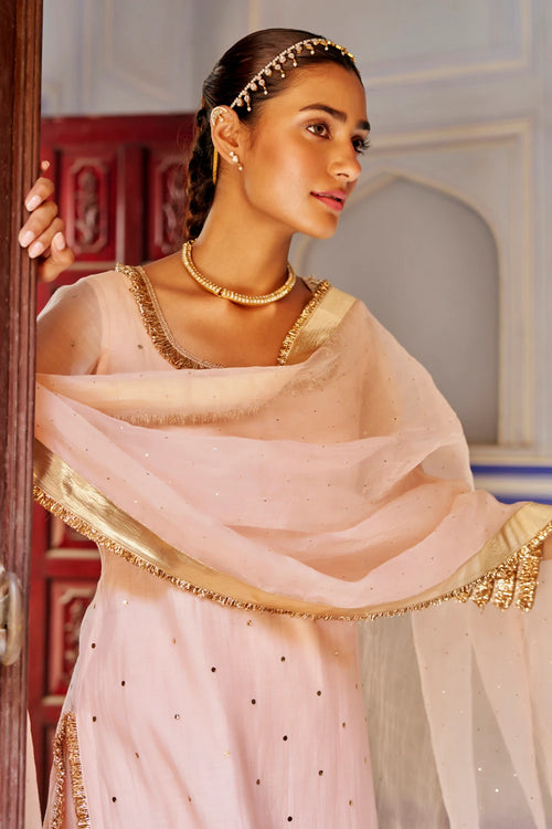 Vintage Blush Straight Kurta with Sharara
