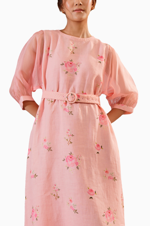 Pink Scarlett Digital Print Aline Dress