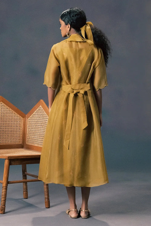 Moss Green Embroidered Dress With Jacket