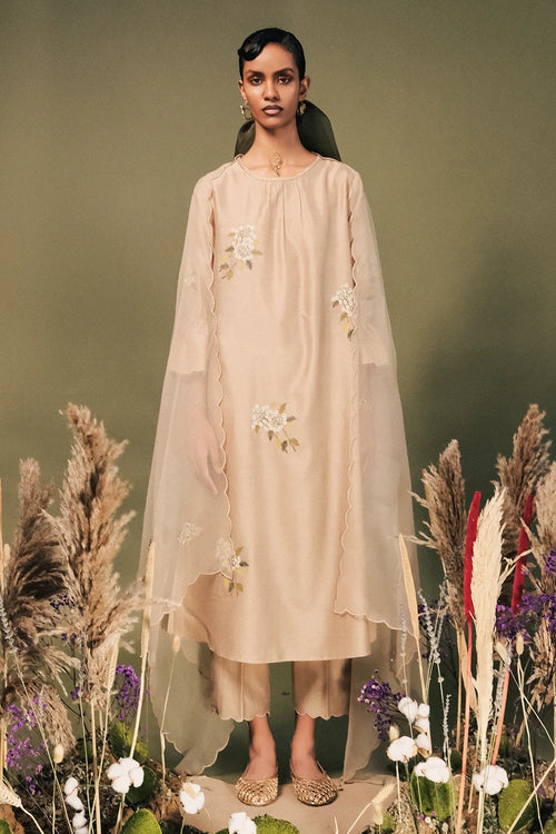 Beige Embroidered Tunic Set