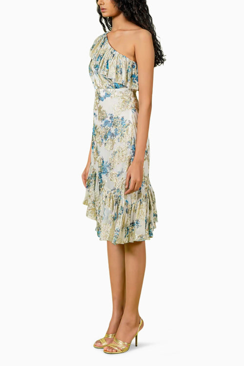 Blue White Floral Print On Shoulder Dress