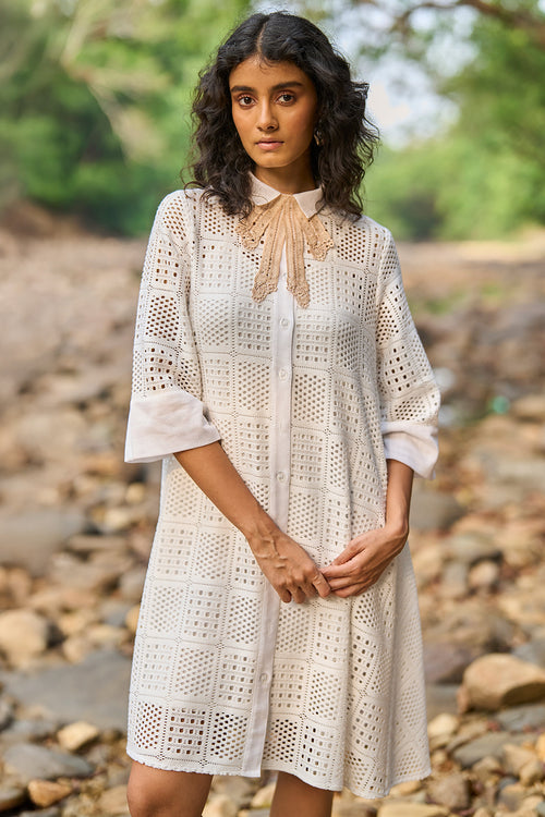 A-Line Lace Dress