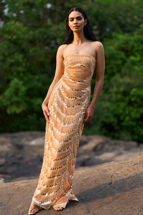 Pearl Embroidered Gown