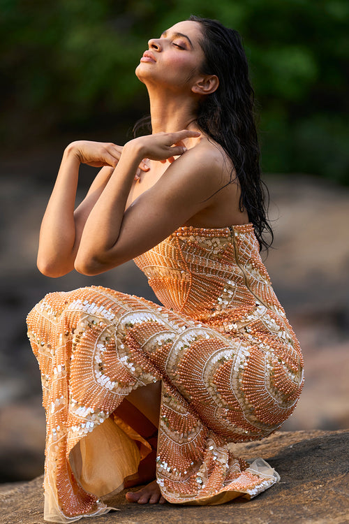 Pearl Embroidered Gown