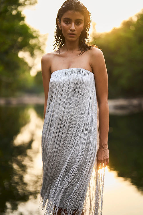 Silver Fringe Dress