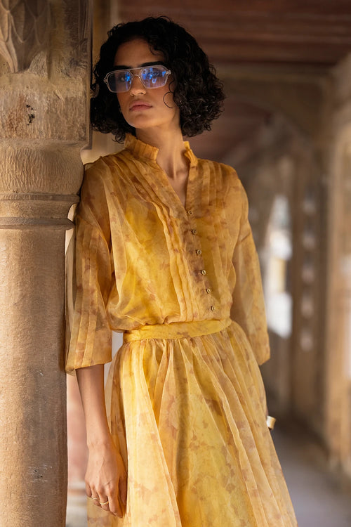 Printed Organza Pleated Shirt