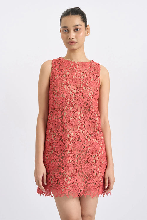 Coral Bloom Lace Mini