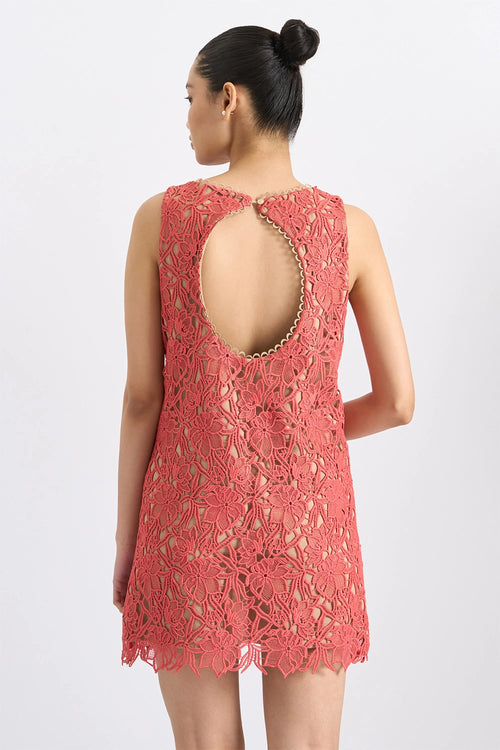 Coral Bloom Lace Mini