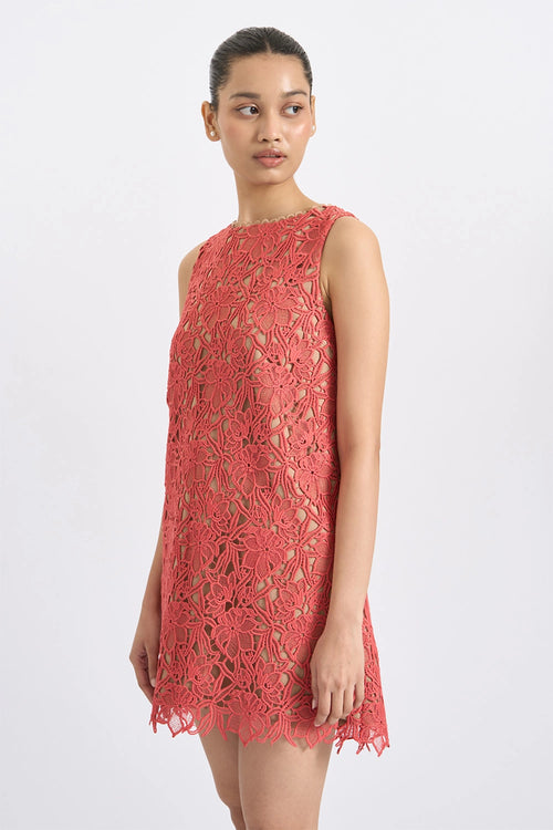 Coral Bloom Lace Mini