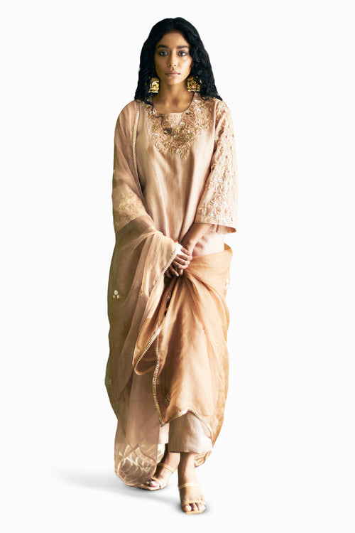 Peanut Tone Chanderi Suit