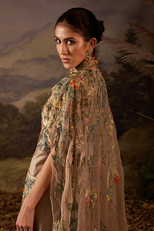 Elegant Embroidered Cape Gown