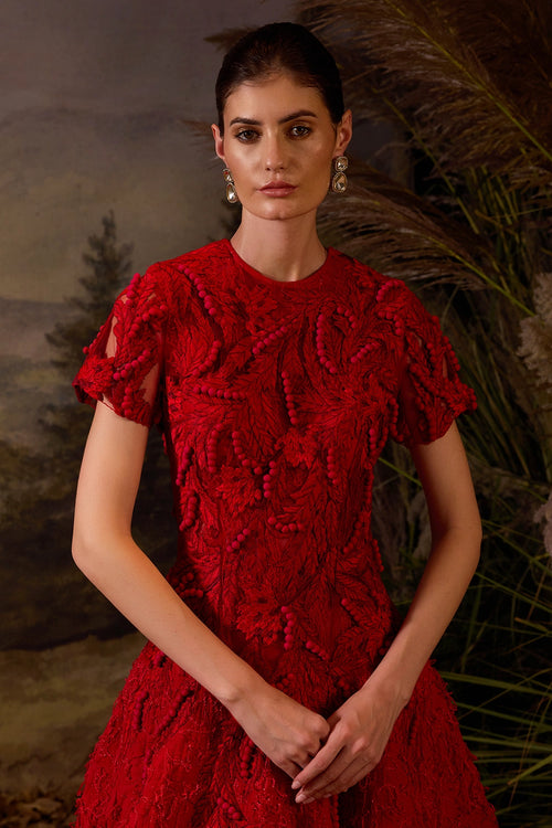 Red Embroidered Floor-Length Gown with 3D Detailing