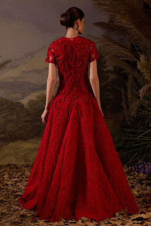 Red Embroidered Floor-Length Gown with 3D Detailing