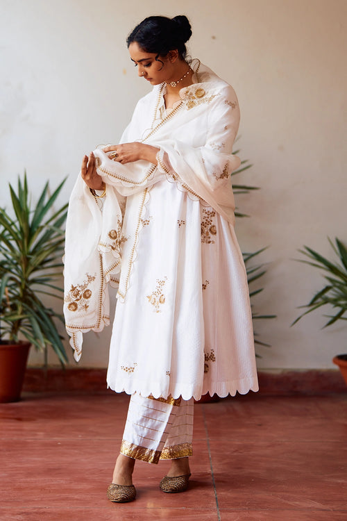 Usha Rani Kali Kurta Set