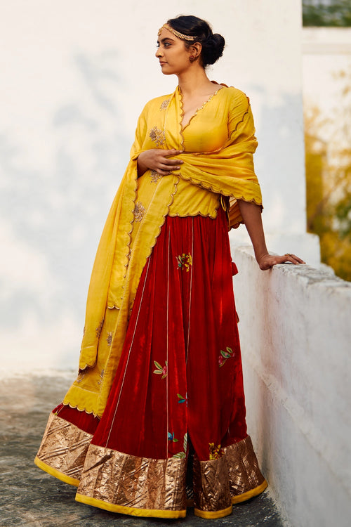 Rani Champa Makhmal Lehenga Set