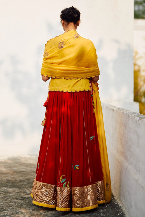 Rani Champa Makhmal Lehenga Set