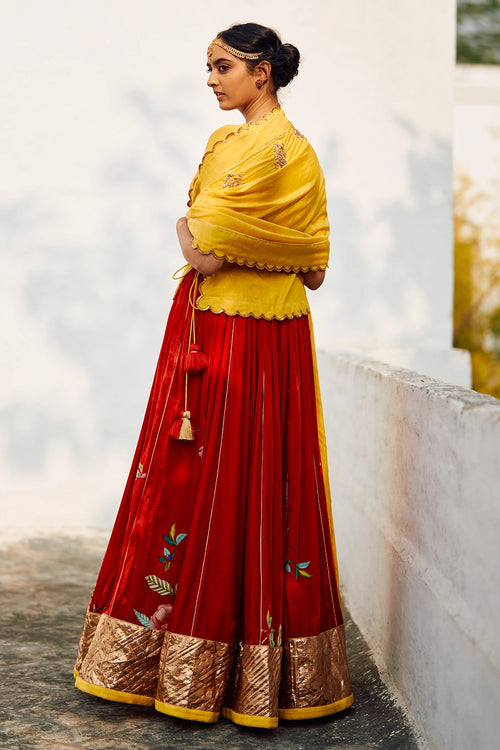 Rani Champa Makhmal Lehenga Set