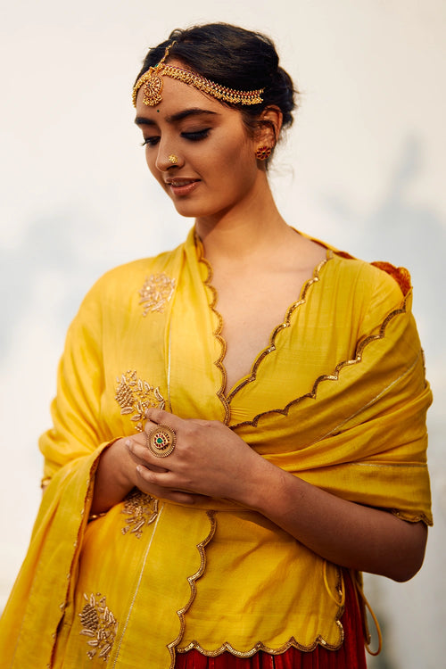 Rani Champa Makhmal Lehenga Set