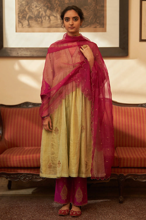 Pista Jamuni Rani Kurta Set