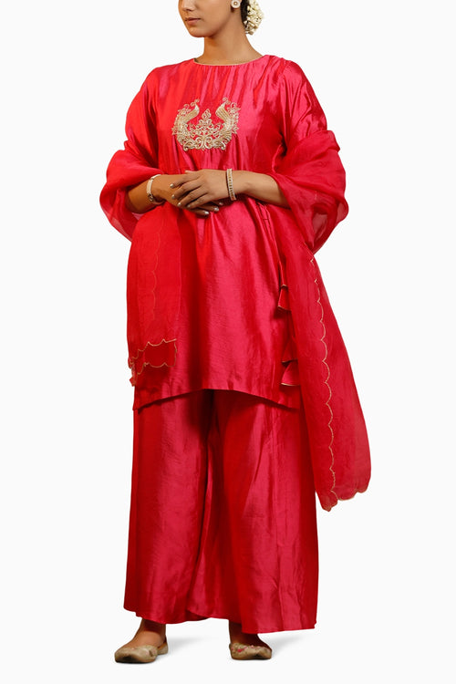 Noor Pink Dori Kurta Set