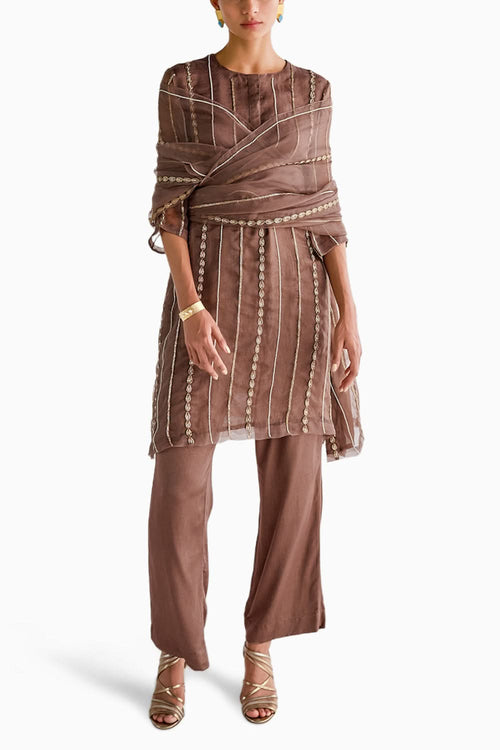 Embroidered Organza Kurta Set