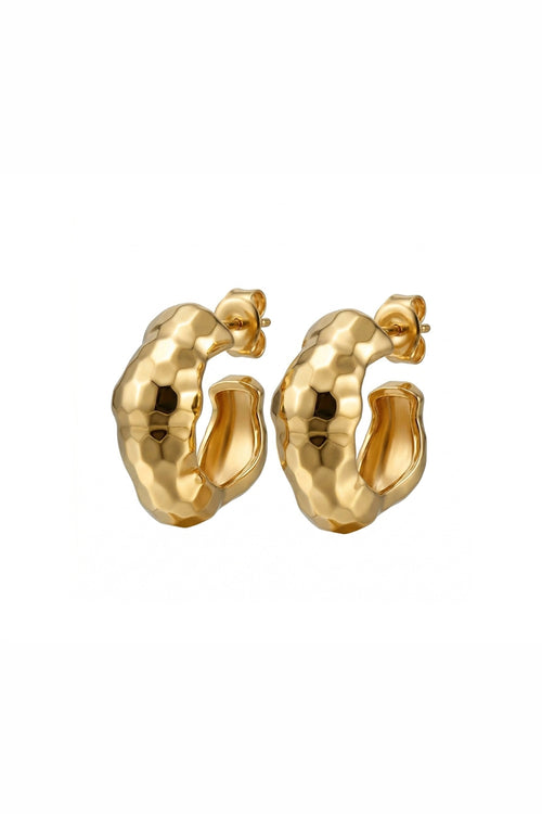 Pretty Voyage Hoop Earrings