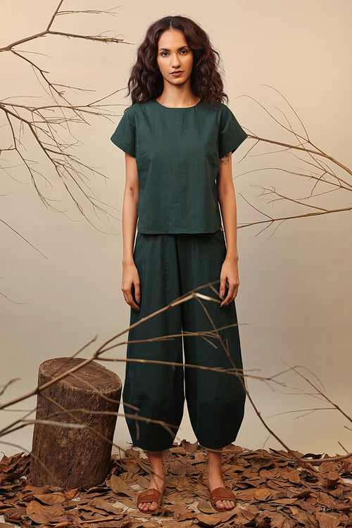 Green Sevi Suga Set