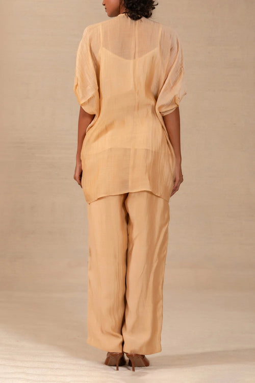 Gulnaar Beige Leaf Applique Co-ord Set
