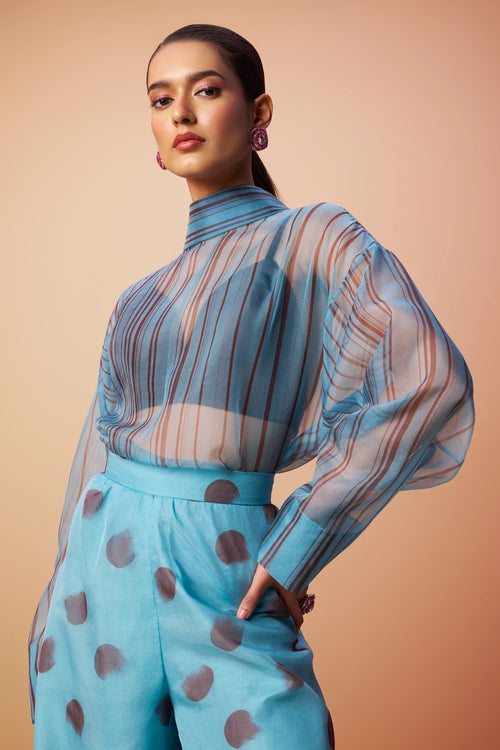 Svara Printed Organza Top- Bustier with Harem Pants