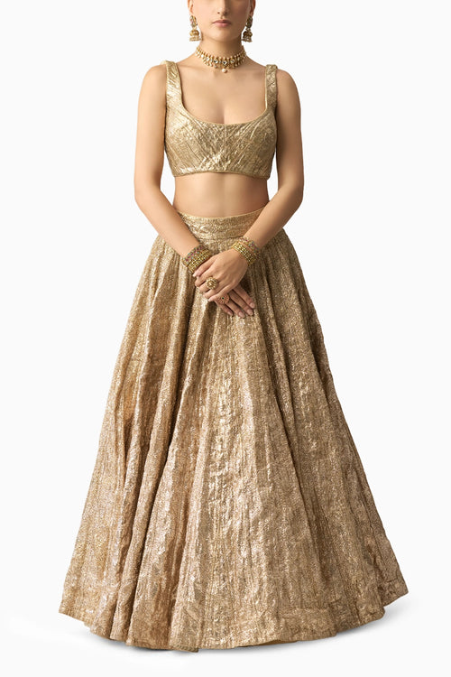 Mala Chandi Lehenga Blouse Set
