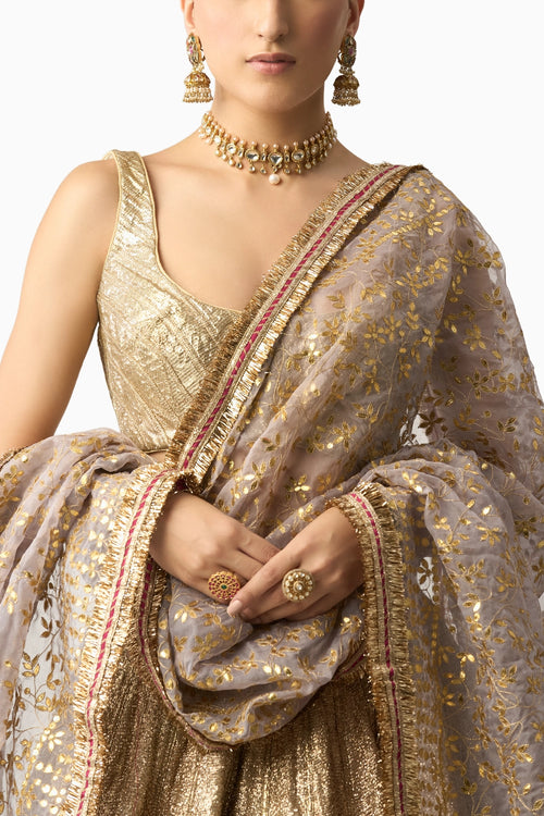Shabnam Dupatta Chandi Lehenga Set