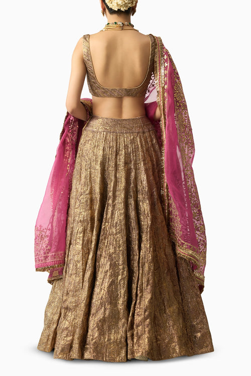 Gangu Dupatta Jamini Lehenga Set