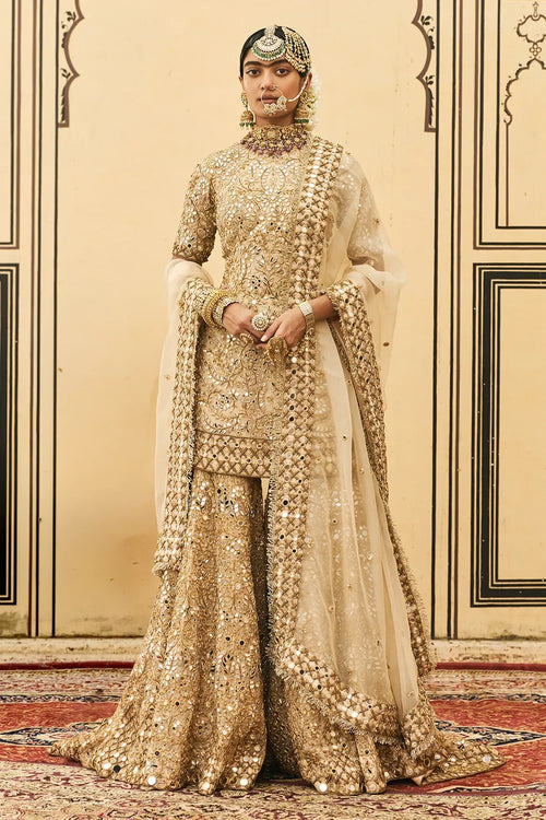 Fawn Organza Garara Set