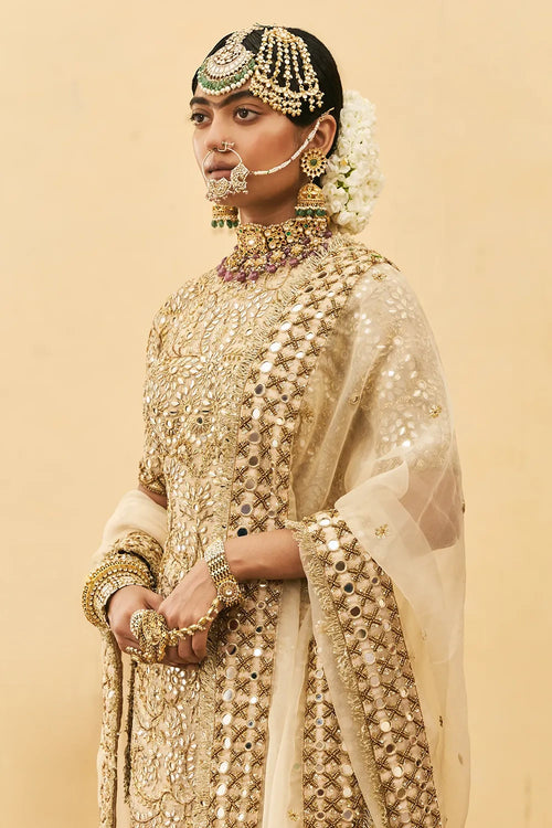 Fawn Organza Garara Set
