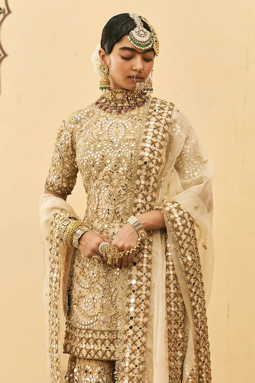 Fawn Organza Garara Set