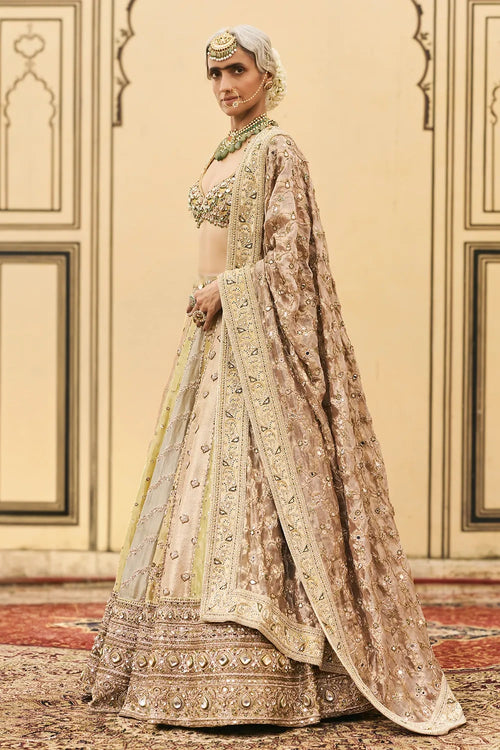 Pallavi Tissue Brocade Lehenga Set