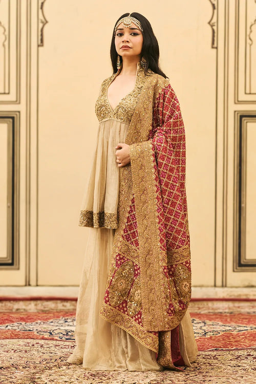 Sunhari-Gulal Tissue Bandhej Sharara Set