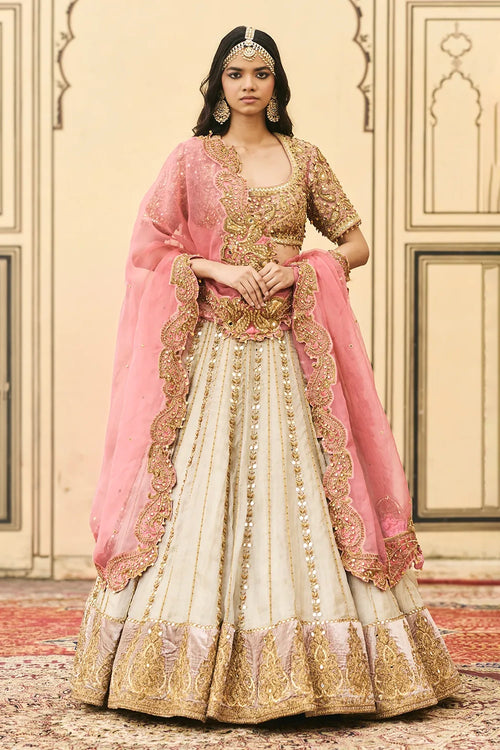 Gulabi-Rajat Tissue Lehenga Set