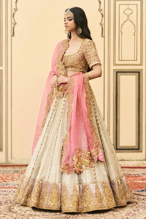 Gulabi-Rajat Tissue Lehenga Set