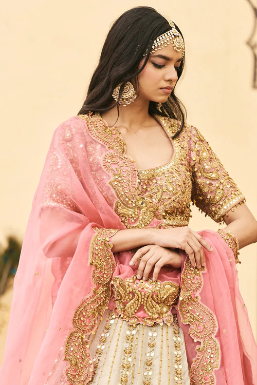 Gulabi-Rajat Tissue Lehenga Set