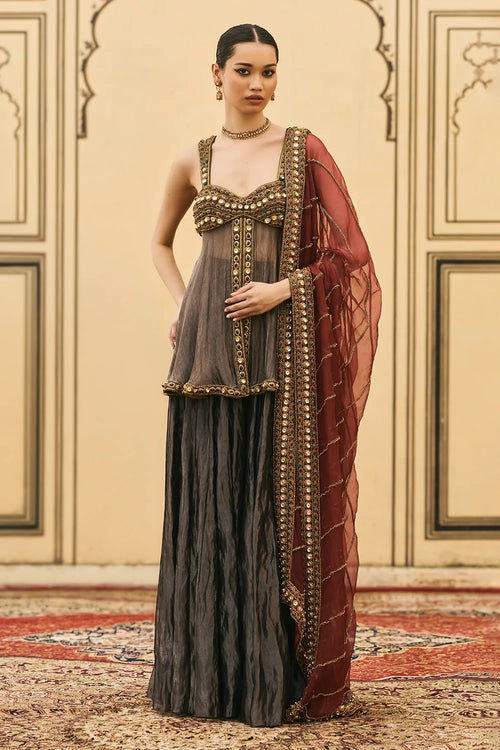 Neel-Shyam Tissue Organza Sharara Set