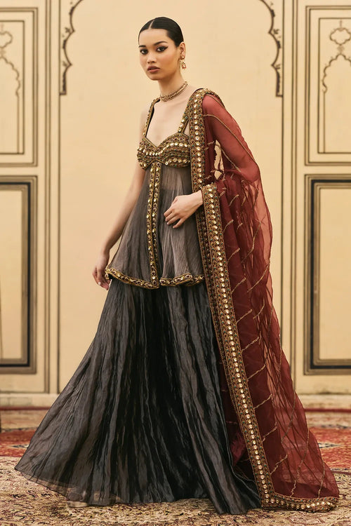 Neel-Shyam Tissue Organza Sharara Set