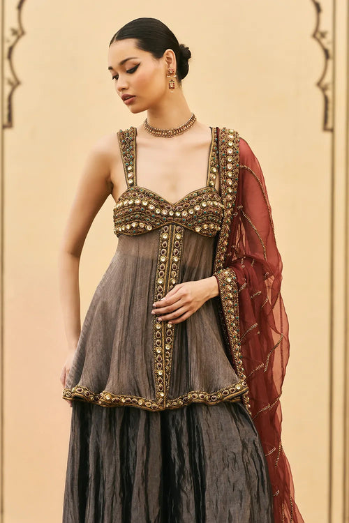 Neel-Shyam Tissue Organza Sharara Set