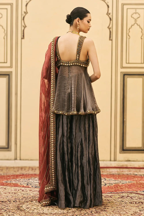 Neel-Shyam Tissue Organza Sharara Set