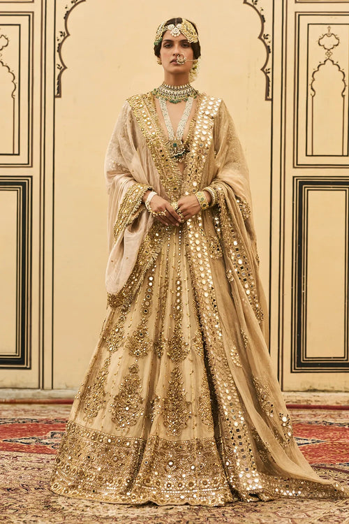 Sunehra Tissue Lehenga Set
