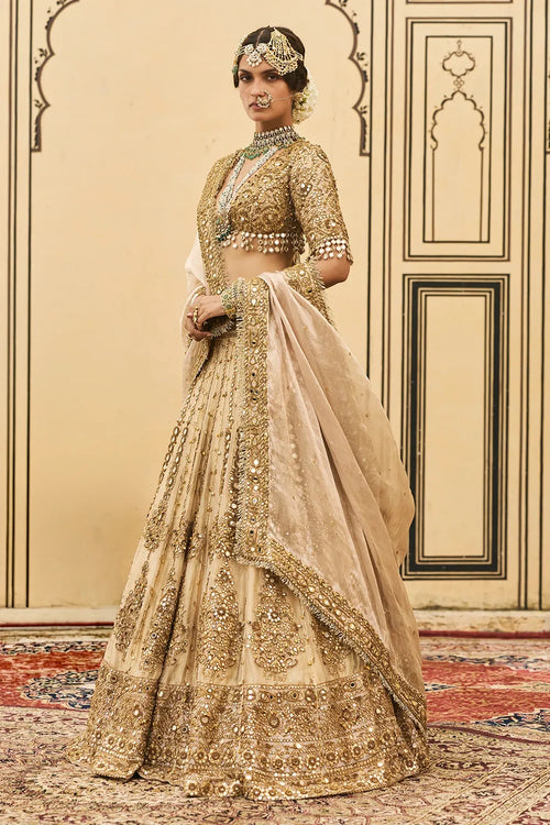 Sunehra Tissue Lehenga Set